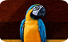 Hogle Zoo