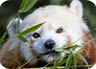 Sacramento Zoo
