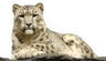 Bronx Zoo