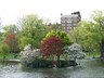 Boston Public Garden