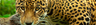 Woodland Park Zoo