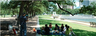 Hermann Park 