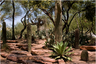 Ethel M. Chocolate Factory and Botanical Cactus Garden